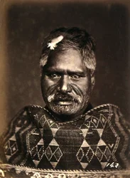 Portrait of a Maori with a tattooed face, c.1886-88